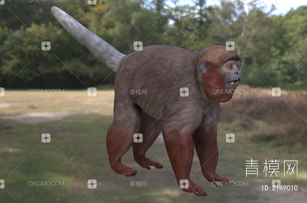 红伶猴 铜色伶猴 动物3D模型下载【ID:2149010】