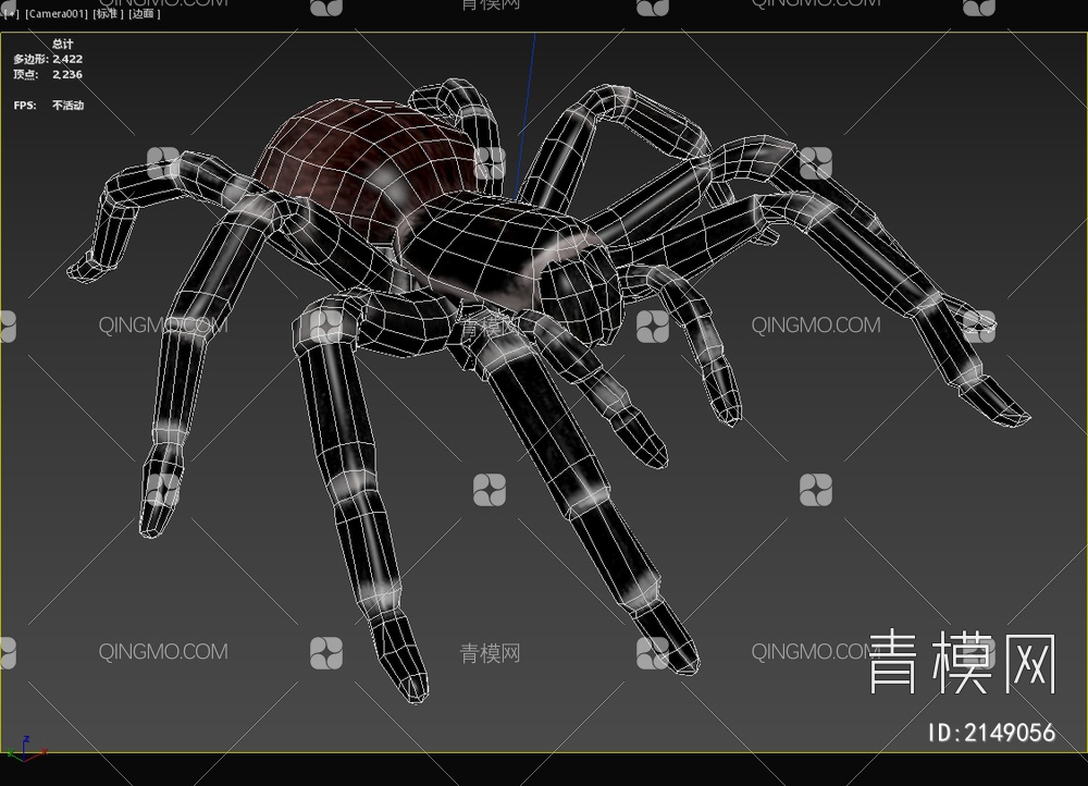 巴西白膝头蜘蛛 巴西白膝头蜘蛛 昆虫3D模型下载【ID:2149056】
