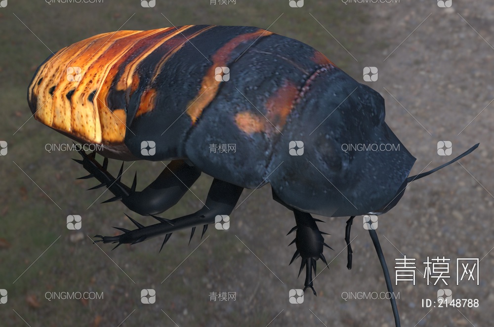 马达加斯加蟑螂3D模型下载【ID:2148788】