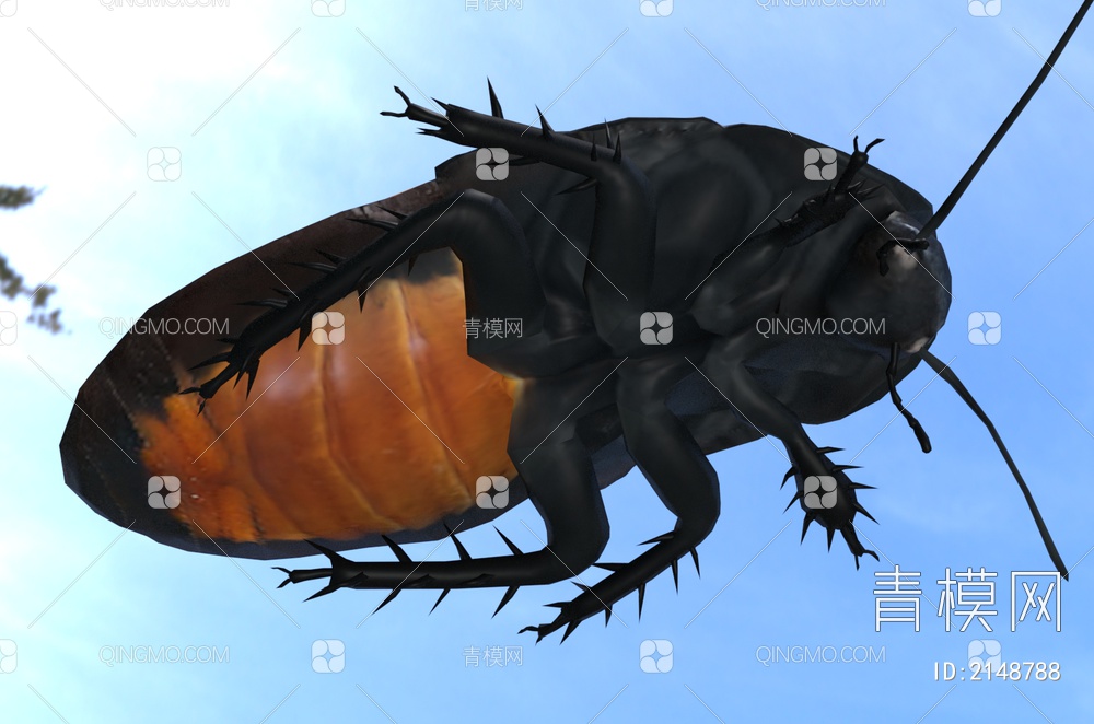 马达加斯加蟑螂3D模型下载【ID:2148788】