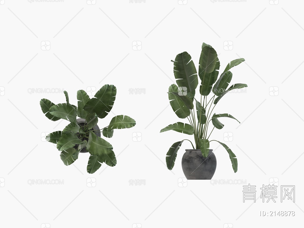 植物盆栽3D模型下载【ID:2148878】