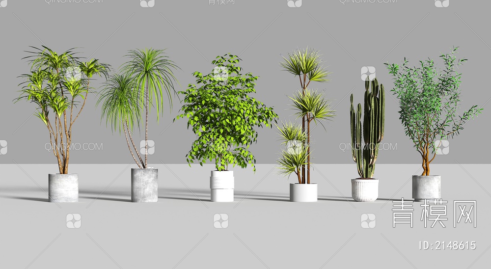 绿植盆栽 植物盆景 植物组合3D模型下载【ID:2148615】