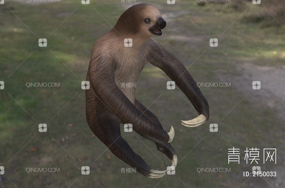 二趾树懒 两趾树懒 树懒 生物 动物3D模型下载【ID:2150033】
