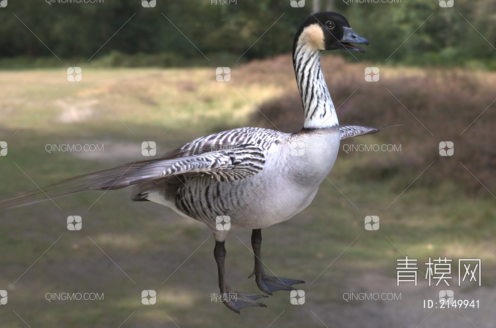 夏威夷鹅 黄颈黑雁 黄额 黄雁 生物 动物3D模型下载【ID:2149941】