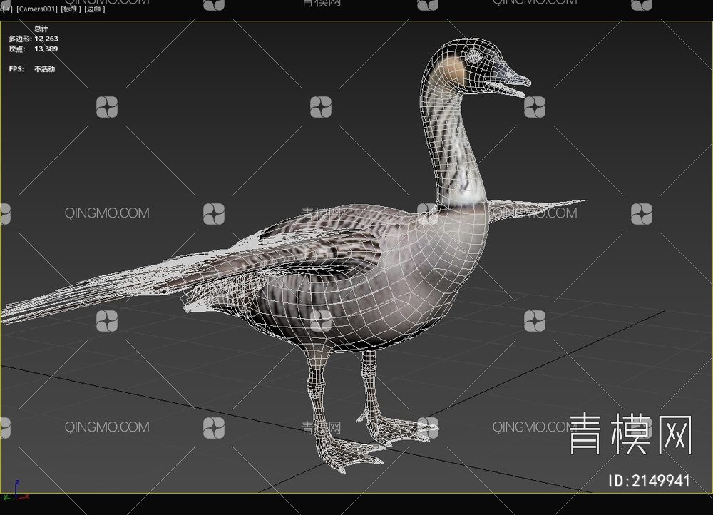 夏威夷鹅 黄颈黑雁 黄额 黄雁 生物 动物3D模型下载【ID:2149941】