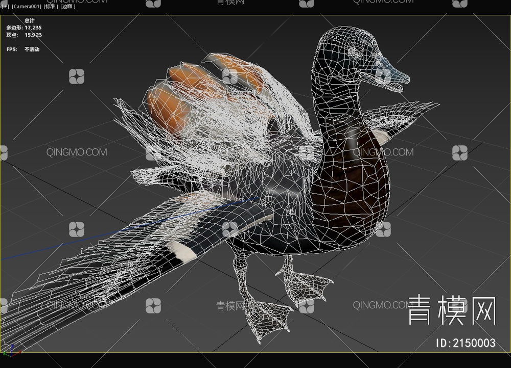 新西兰黑胸麻鸭 天堂鸭 生物 动物3D模型下载【ID:2150003】