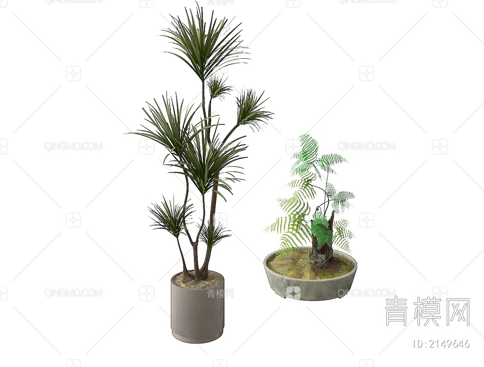 植物盆栽3D模型下载【ID:2149646】