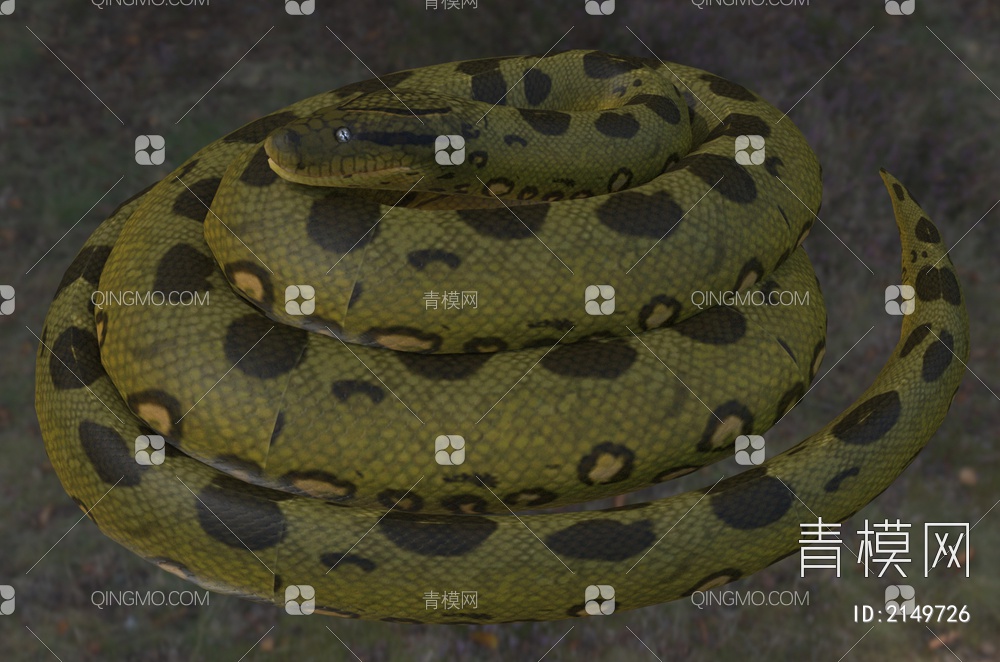 绿森蚺 森蚺 绿水蟒蛇 冷血动物3D模型下载【ID:2149726】