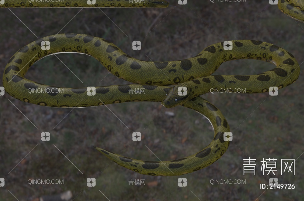 绿森蚺 森蚺 绿水蟒蛇 冷血动物3D模型下载【ID:2149726】