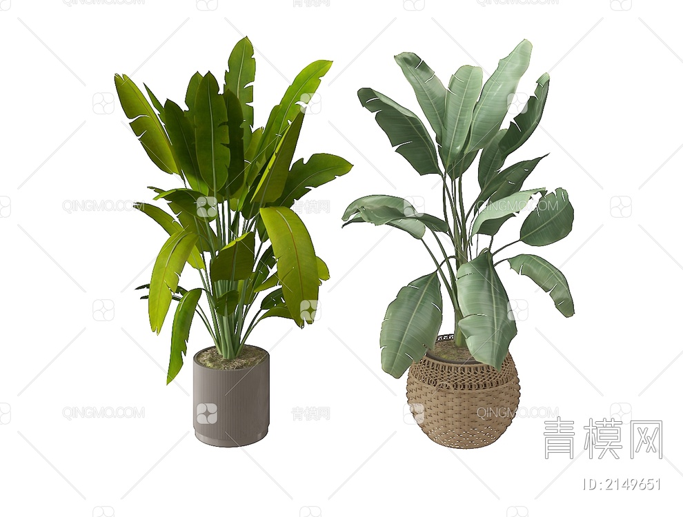 植物盆栽3D模型下载【ID:2149651】