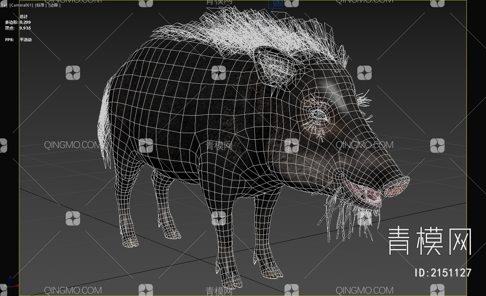 白唇西猯野猪 野生 动物 生物3D模型下载【ID:2151127】