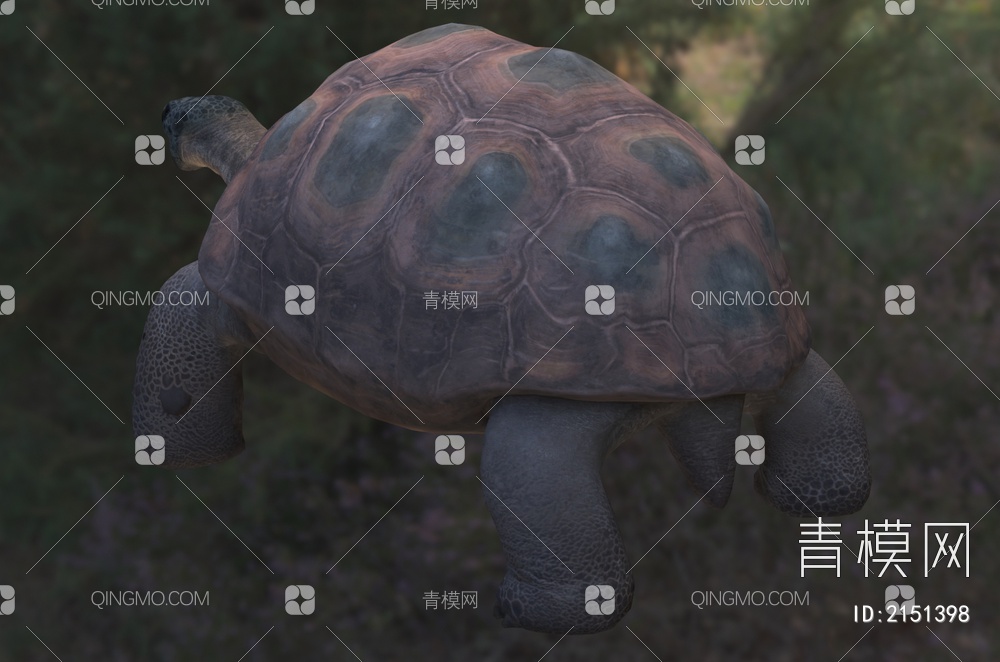 亚洲巨龟 大东方龟 阿特拉斯巨龟 动物 生物3D模型下载【ID:2151398】