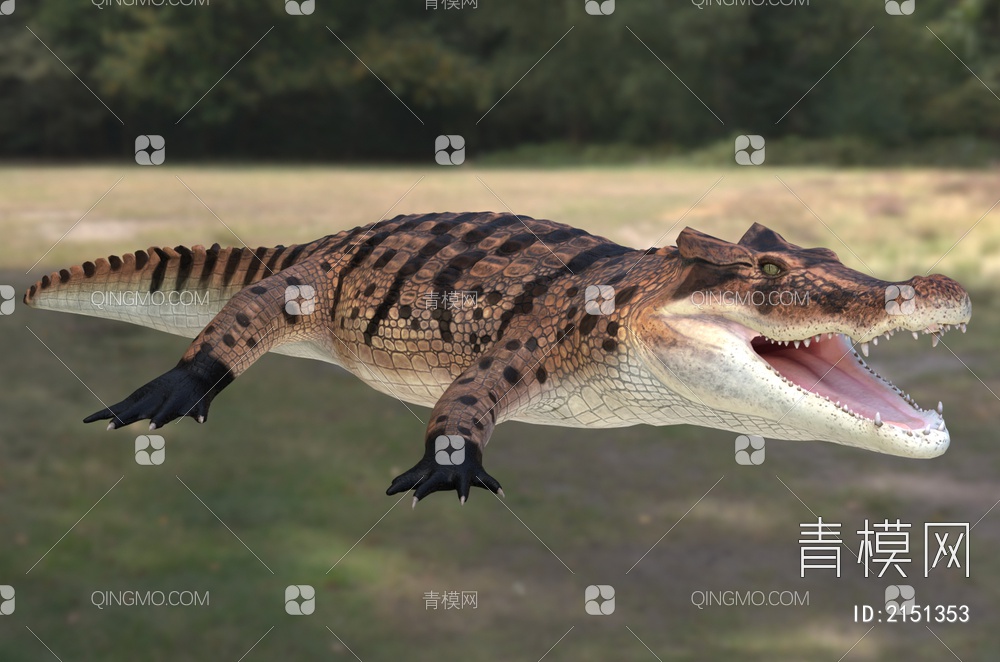马达加斯加角鳄鱼 野生动物 生物3D模型下载【ID:2151353】