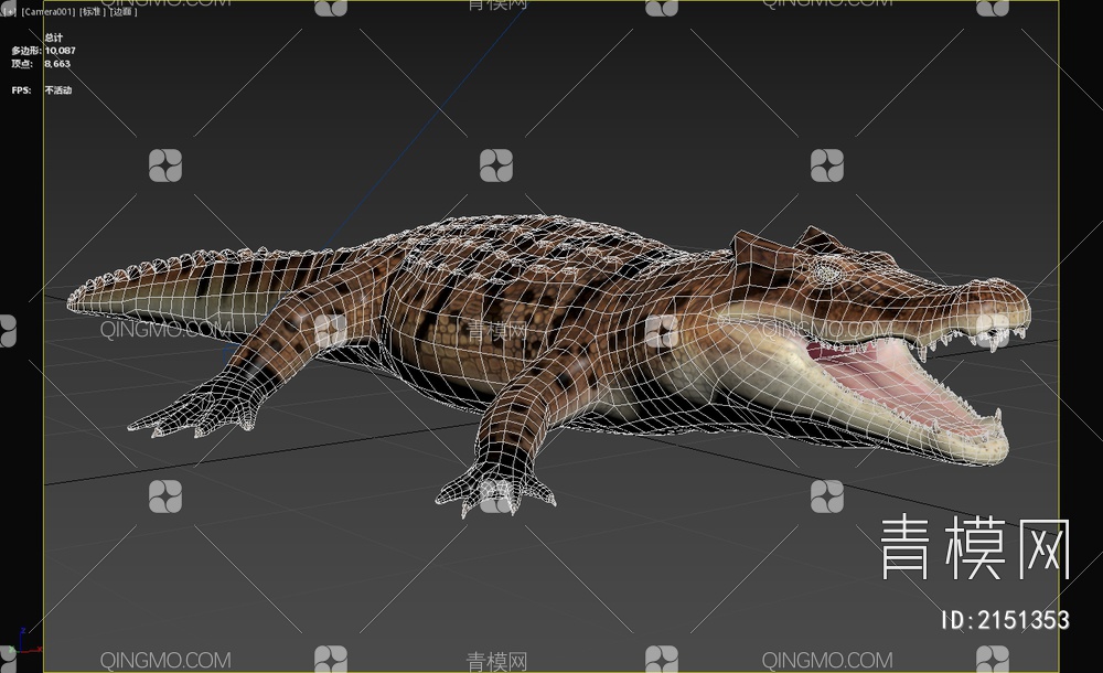 马达加斯加角鳄鱼 野生动物 生物3D模型下载【ID:2151353】
