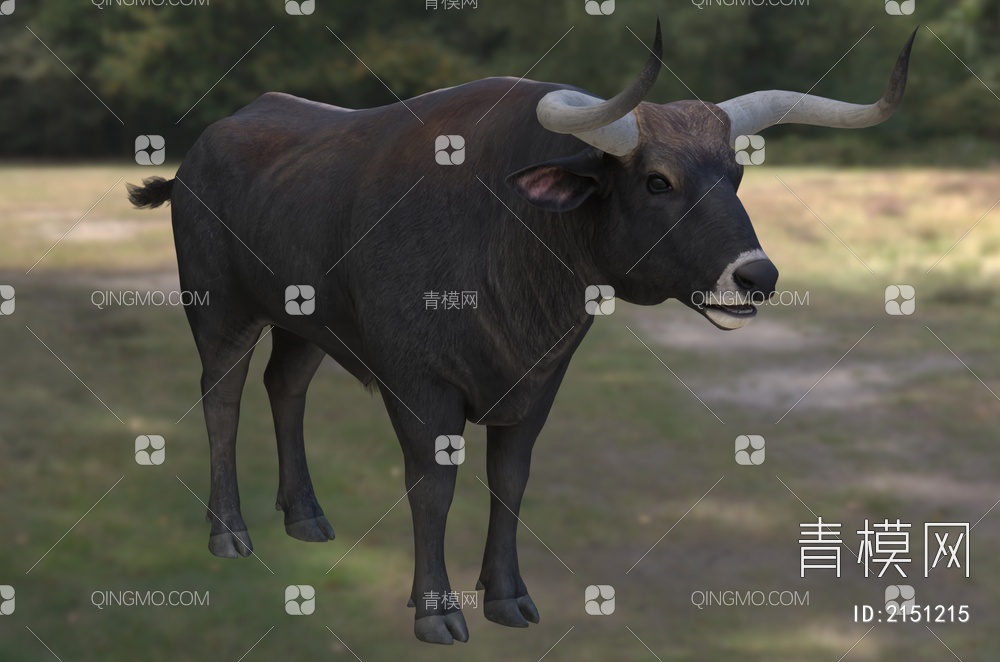 欧洲野牛 动物 生物3D模型下载【ID:2151215】
