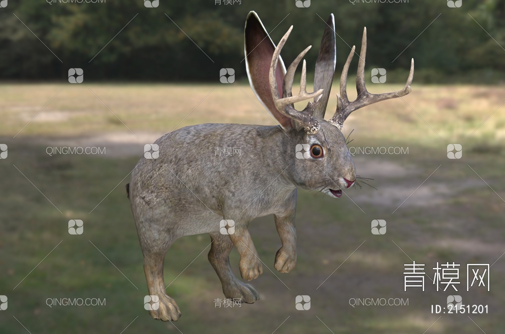 鹿角兔子 动物 生物3D模型下载【ID:2151201】