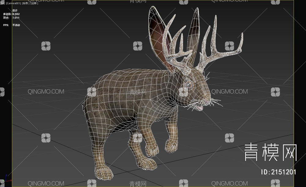 鹿角兔子 动物 生物3D模型下载【ID:2151201】