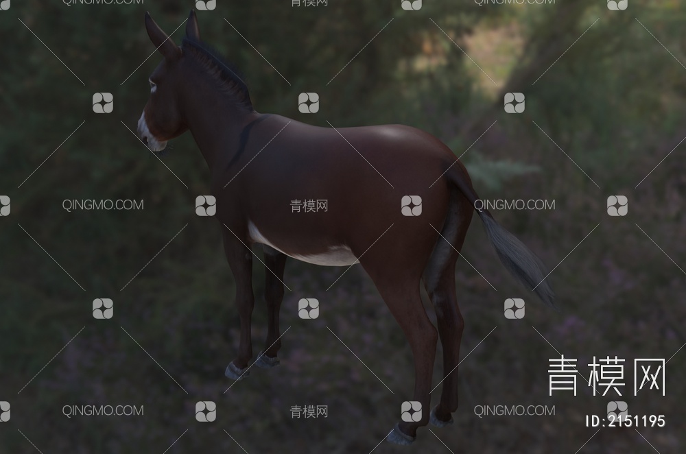 蒙古野驴 骞驴 野驴 生物 动物3D模型下载【ID:2151195】