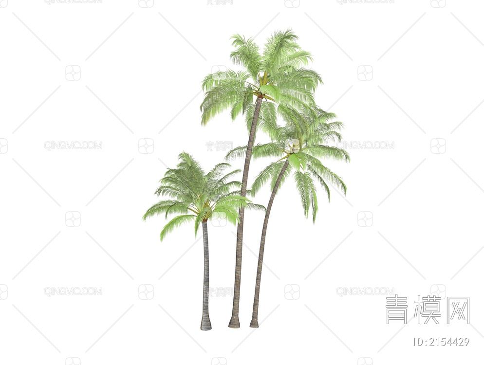 棕榈椰子树组合SU模型下载【ID:2154429】