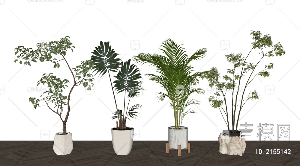 室内植物SU模型下载【ID:2155142】