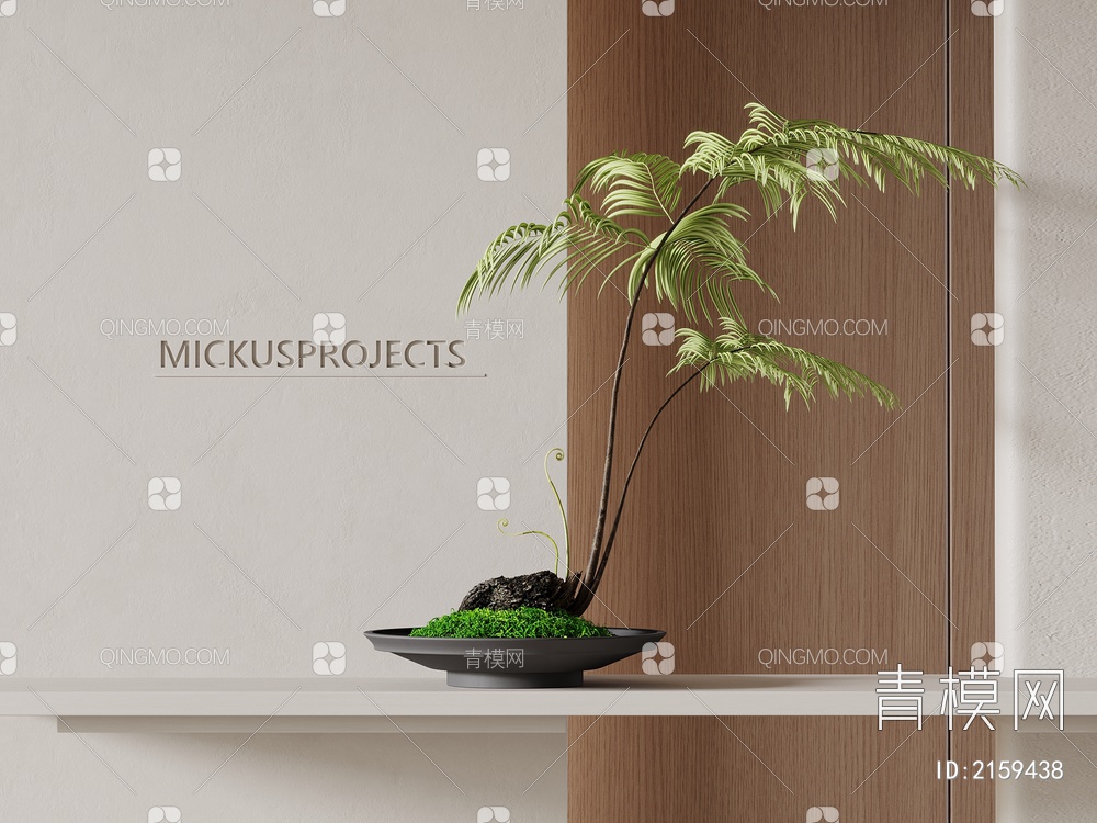 苔藓绿植 蕨类盆栽3D模型下载【ID:2159438】