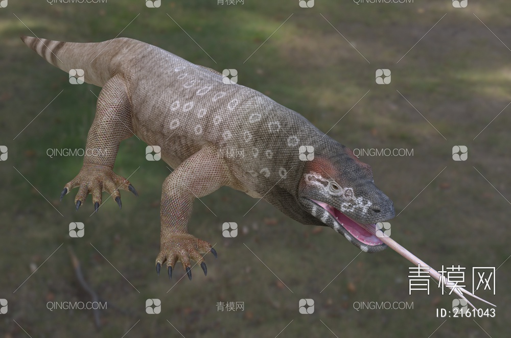 澳洲巨蜥 野生动物 生物3D模型下载【ID:2161043】