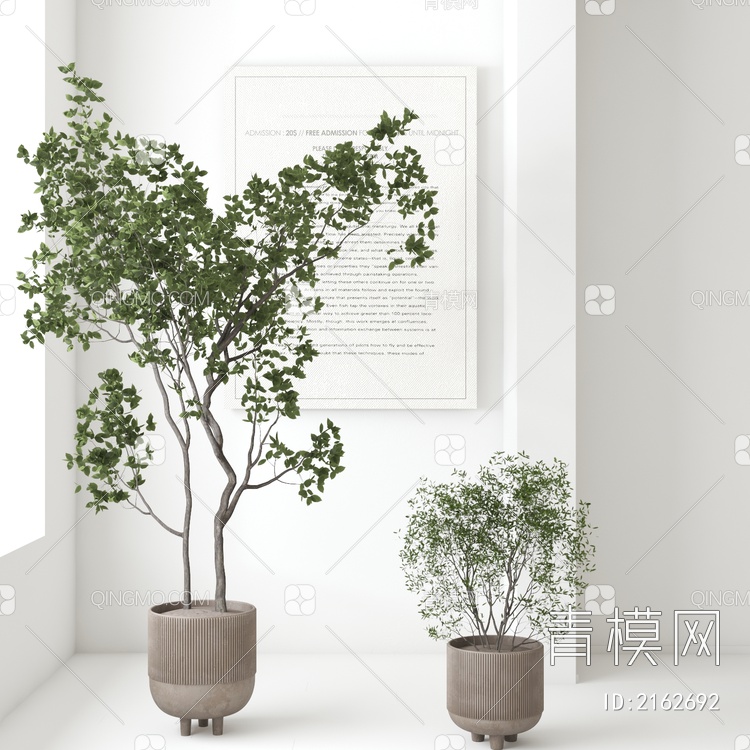 植物盆栽3D模型下载【ID:2162692】