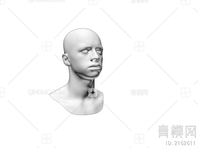 人物 头像3D模型下载【ID:2162611】