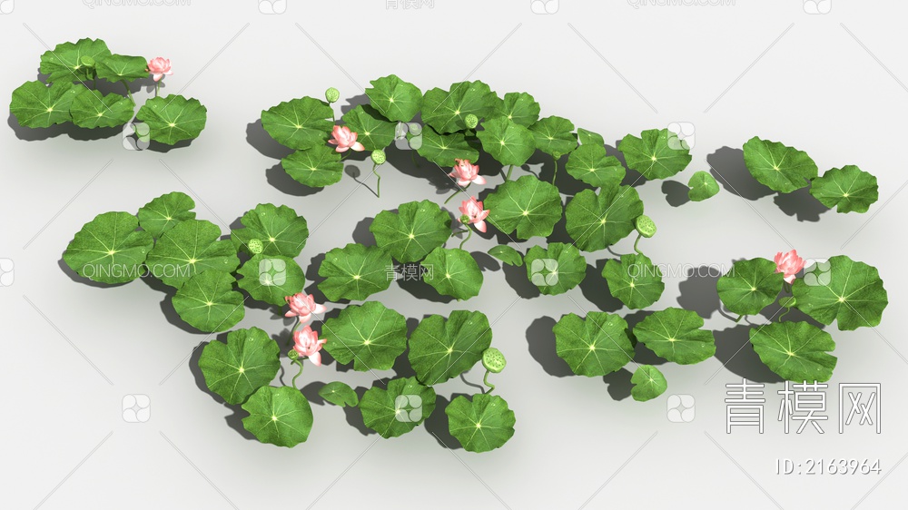 植物 荷花 荷叶3D模型下载【ID:2163964】
