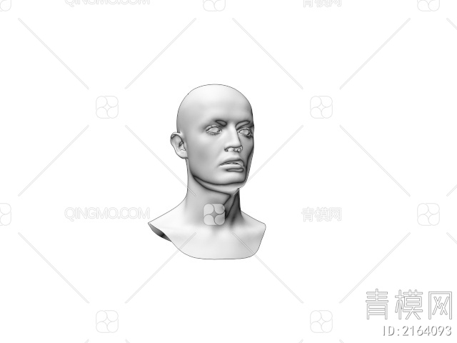 人物头像3D模型下载【ID:2164093】