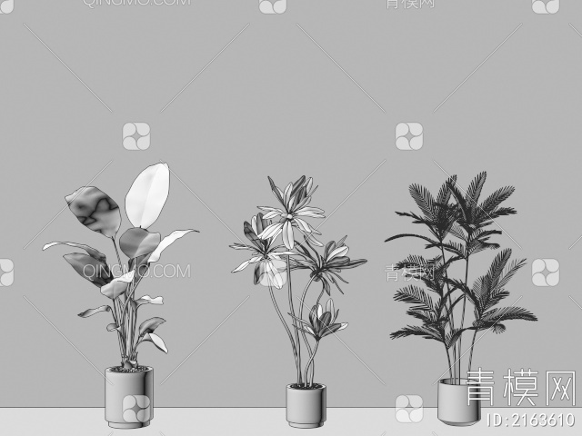 盆栽 植物盆栽3D模型下载【ID:2163610】