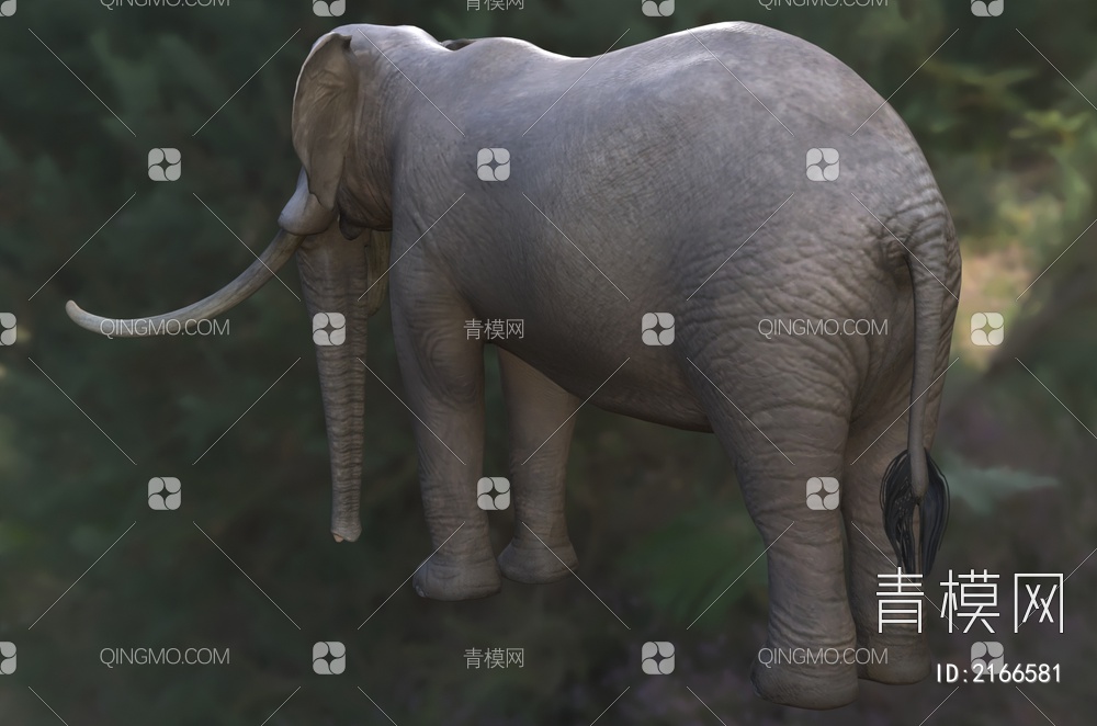 欧洲矮象 西西里矮象 法氏古菱齿象 法氏亚洲象 大象 野生动物3D模型下载【ID:2166581】
