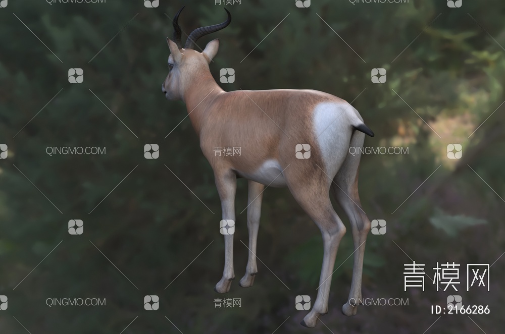 普氏原羚黄羊 滩黄羊 滩原羚对角羚羊 动物3D模型下载【ID:2166286】