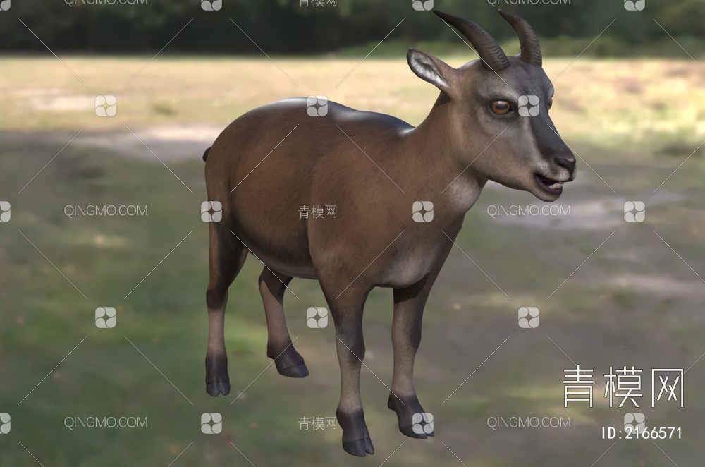 巴利阿里群岛洞山羊 动物3D模型下载【ID:2166571】