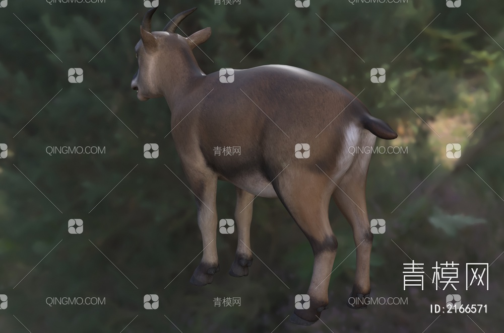 巴利阿里群岛洞山羊 动物3D模型下载【ID:2166571】