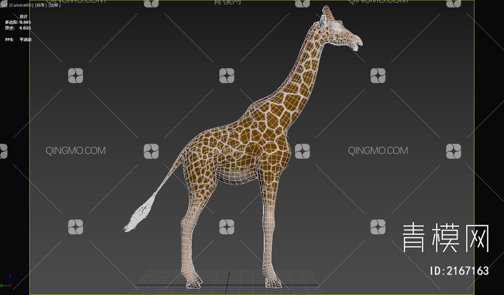 网纹长颈鹿 索马里长颈鹿 动物3D模型下载【ID:2167163】