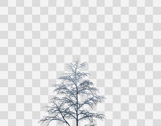 雪景树冬季树木