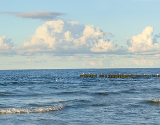 室外窗景