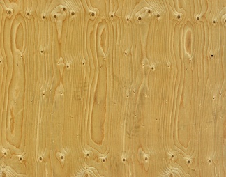 木材-胶合板-新的