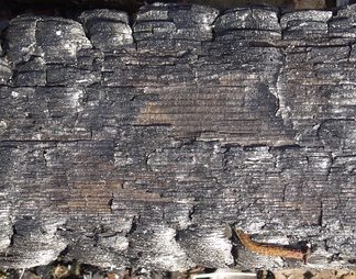 燃烧过的木材拼板