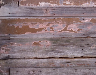 刷漆的木材胶合板