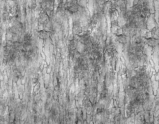 Total Textures Vol 14bumptrees005b