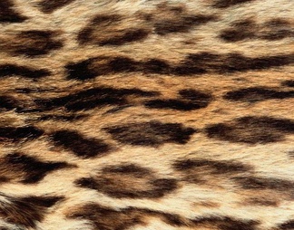 动物毛皮地毯