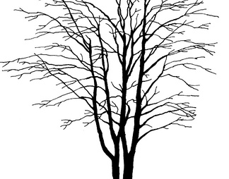 树影凹凸黑白贴图