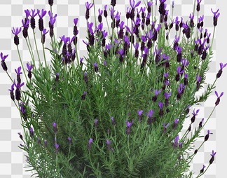 xiyi-后期素材免费下载,xiyi后期素材下载_青模3d模型网