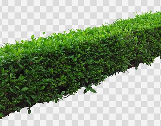 灌木psd下载【id:86881】