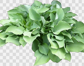 ji01后期素材下载,ji01后期素材下载_青模3d模型网