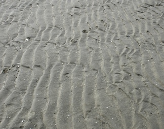 海滩地面
