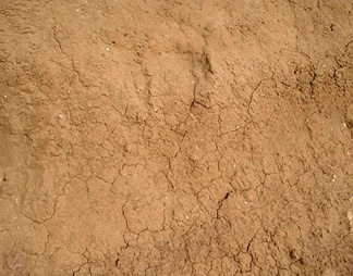 泥土裂纹