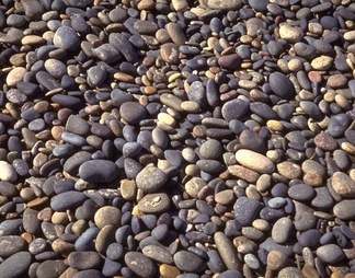 卵石材卵石材